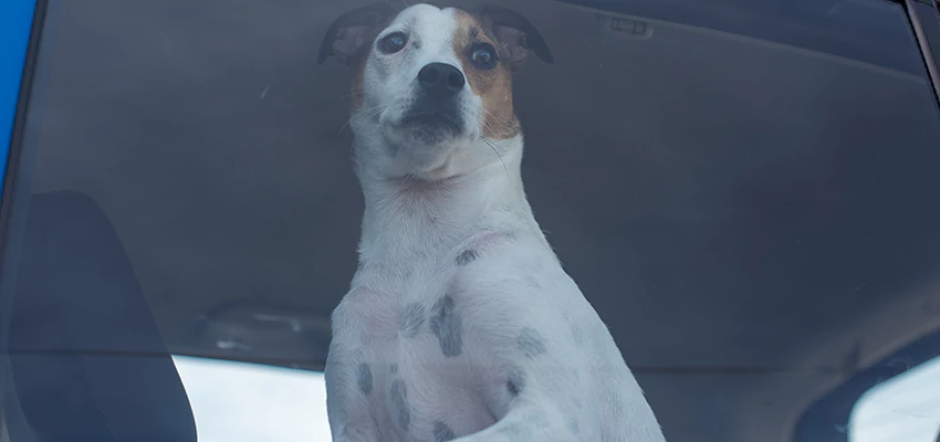 Car Lockout Solutions in Garden Grove, California